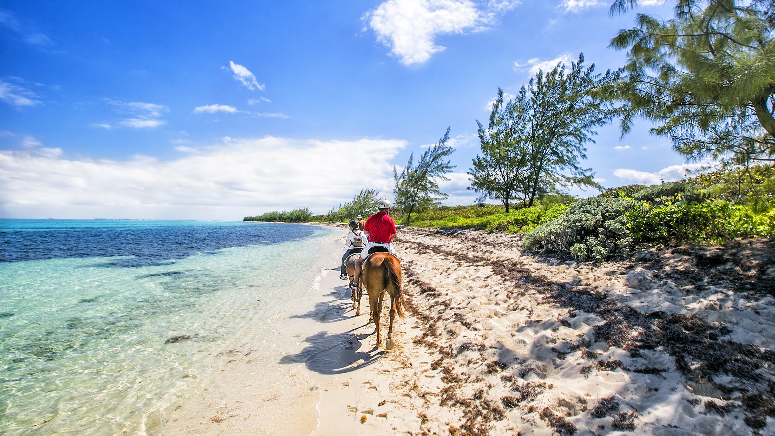 Unveiling the Gems of Grand Cayman: Beyond the Beaches